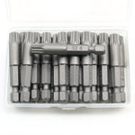 TEMO 25 pc M8 Spline 12 point 2 Inch Screwdriver Insert Bits